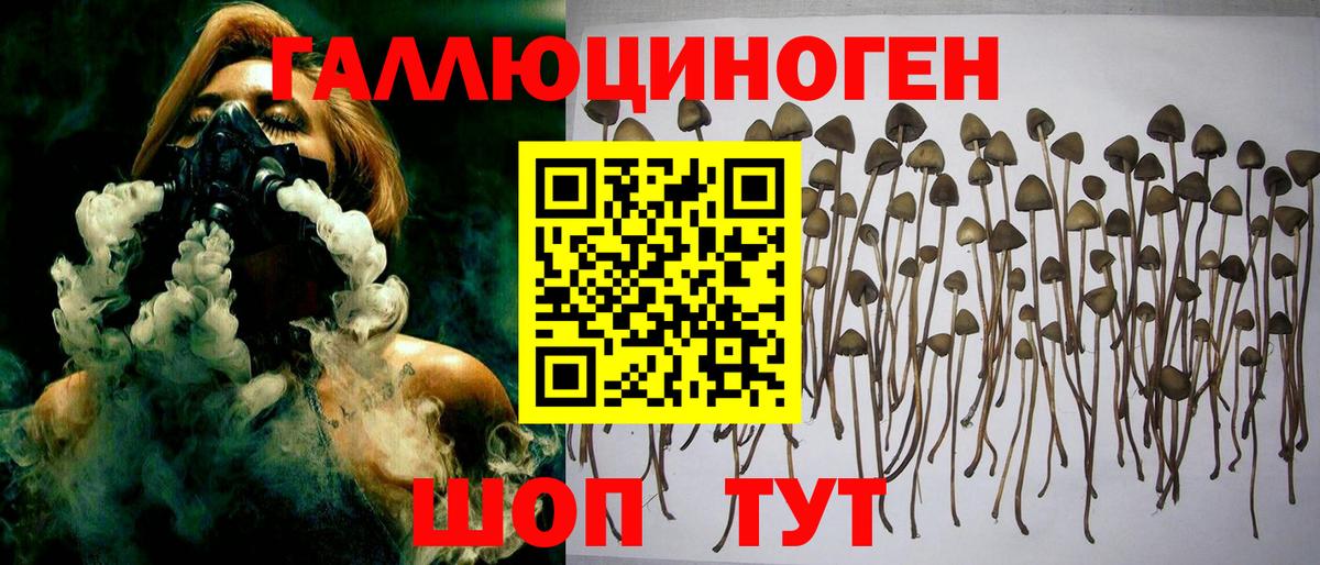 Галлюциногенные грибы прущие грибы Минеральные Воды