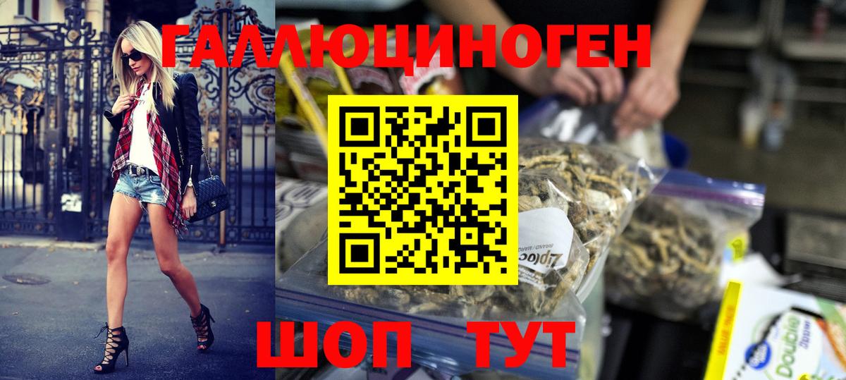 Псилоцибиновые грибы GOLDEN TEACHER  Галлюциногенные грибы Psilocybe  Вход с VPN  купить  цена  Минеральные Воды 